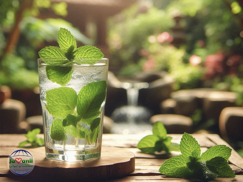 مواد لازم برای تهیه سکنجبین با شکر