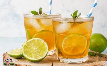 تاثیر سکنجبین در سیستم تنفسی ساختار و اجزای سیستم تنفس در طب ایرانی