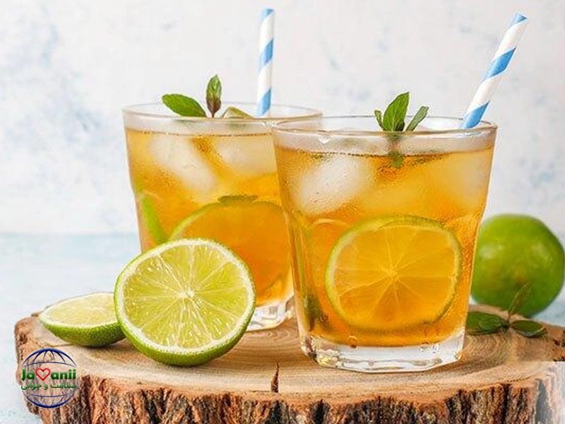 تاثیر سکنجبین در سیستم تنفسی ساختار و اجزای سیستم تنفس در طب ایرانی