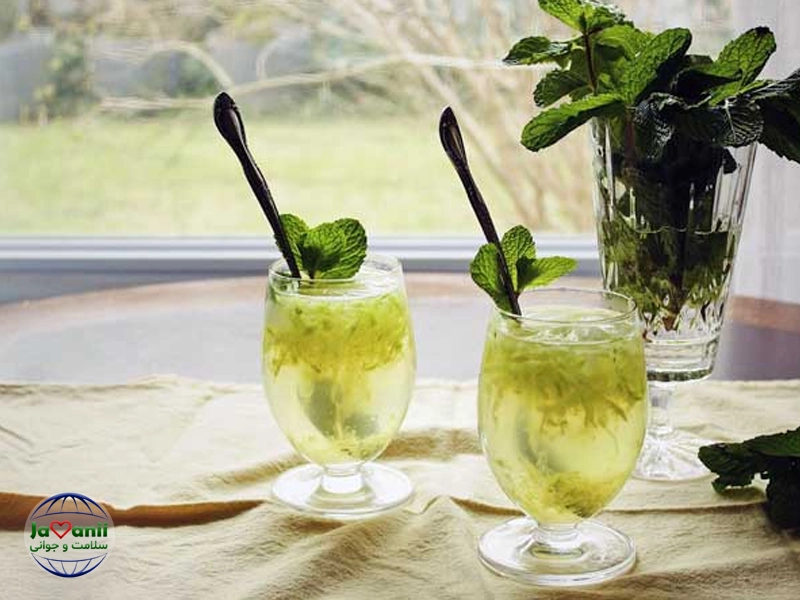 تاریخچه سکنجبین در طب سنتی و فرهنگ ایران ابوعلی سینا