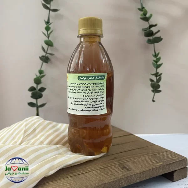 نوشیدنی فرحبخش جوانساز با طب سنتی و سکنجبین خاص ایرانی